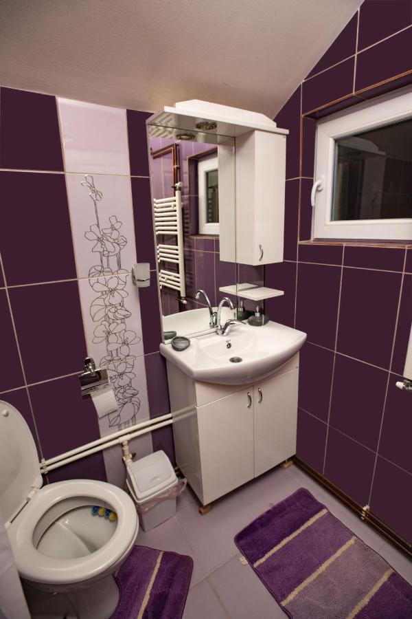 Apartmani Sp Jovanovic Crni Vrh Buitenkant foto